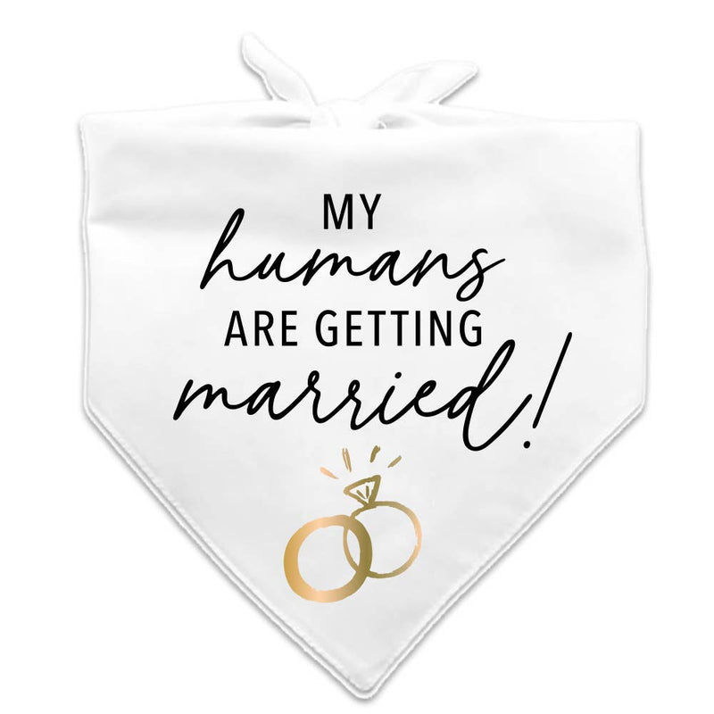 Bandana | My Humans Are Getting Married